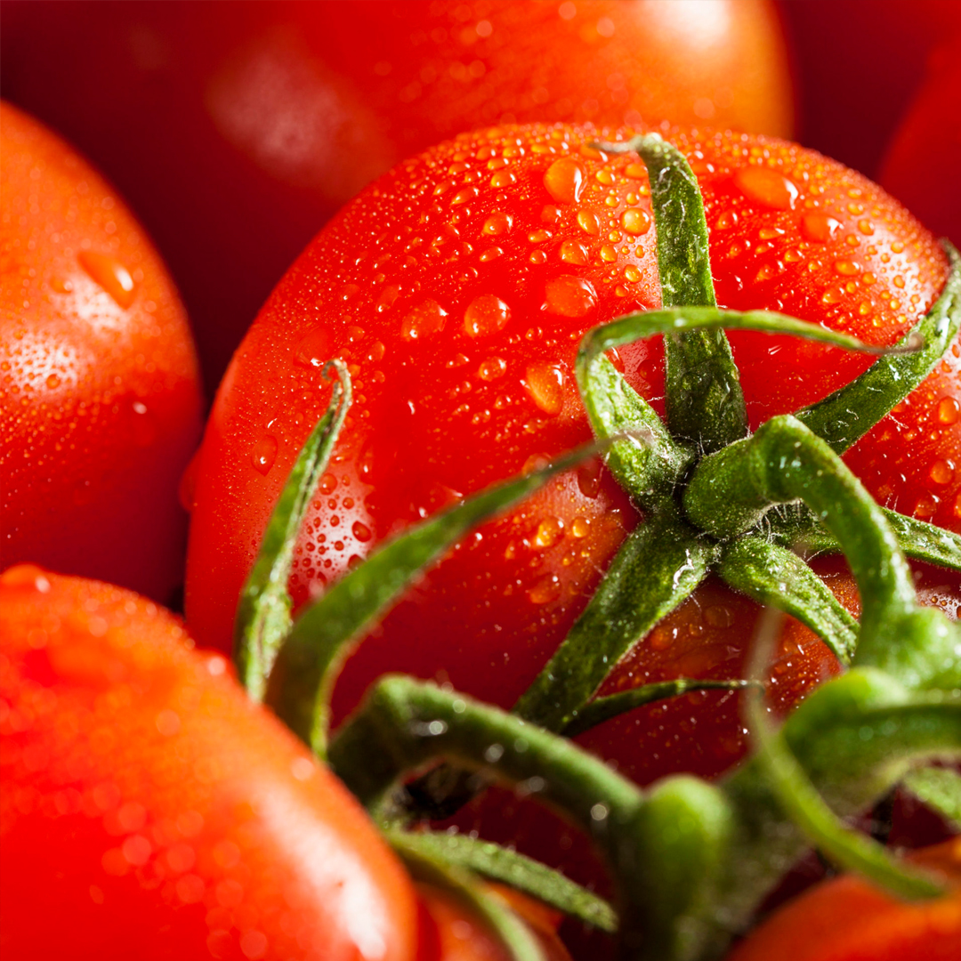 Photograph of a close-up of wet tomatoes