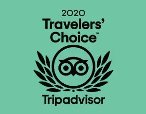 Tripadvisor Travelers’ Choice 2020 award graphic with owl emblem and laurel leaves on a teal background.