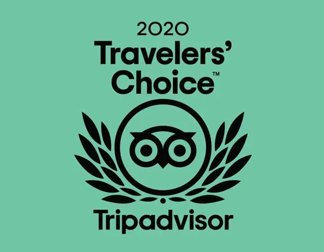 Tripadvisor Travelers’ Choice 2020 award graphic with owl emblem and laurel leaves on a teal background.