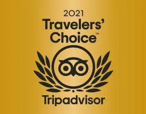 Tripadvisor Travelers’ Choice 2021 award graphic with black text and owl logo on a gold background.