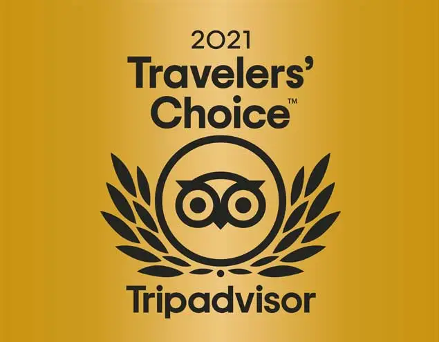 Tripadvisor Travelers’ Choice 2021 award graphic with black text and owl logo on a gold background.