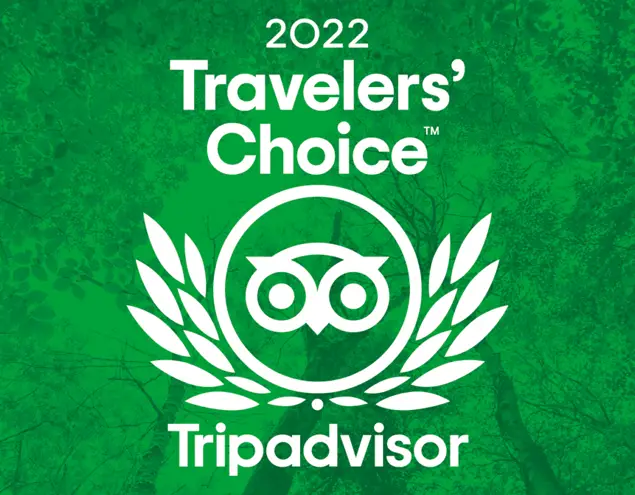 Tripadvisor Travelers’ Choice 2022 award graphic with owl emblem and laurel leaves on a green textured background.